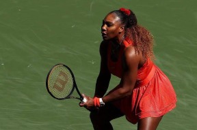 南宫28- 蒂姆现状 